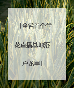 全省首个兰花直播基地落户龙里