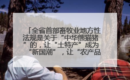 全省首部畜牧业地方性法规是关于“中华熊猫猪”的，让“土特产”成为“新国潮”，让“农产品”升格为“城市IP”
