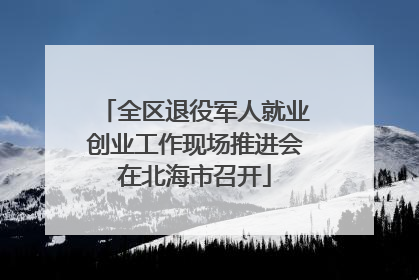全区退役军人就业创业工作现场推进会在北海市召开