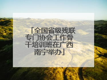 全国省级残联专门协会工作骨干培训班在广西南宁举办