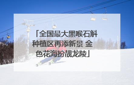 全国最大黑喉石斛种植区再添新景 金色花海扮靓龙陵