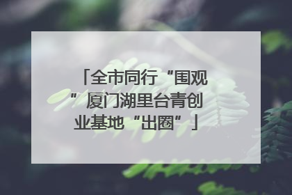 全市同行“围观”厦门湖里台青创业基地“出圈”