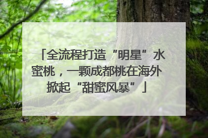 全流程打造“明星”水蜜桃，一颗成都桃在海外掀起“甜蜜风暴”
