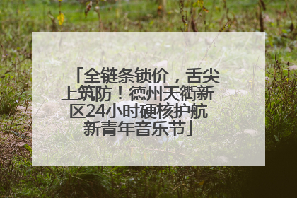 全链条锁价，舌尖上筑防！德州天衢新区24小时硬核护航新青年音乐节
