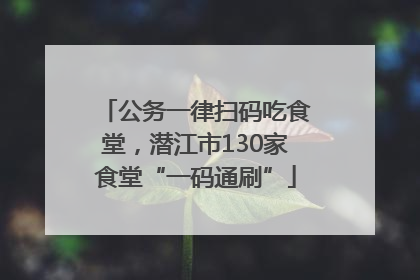 公务一律扫码吃食堂，潜江市130家食堂“一码通刷”