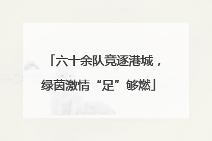 六十余队竞逐港城，绿茵激情“足”够燃