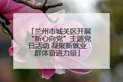 兰州市城关区开展“新心向党”主题党日活动 凝聚新就业群体奋进力量