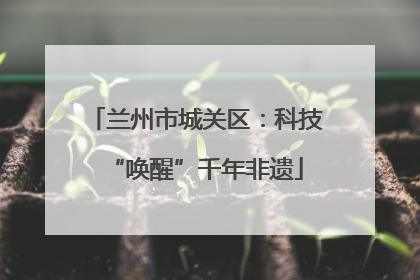 兰州市城关区：科技“唤醒”千年非遗