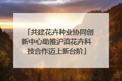 共建花卉种业协同创新中心助推沪滇花卉科技合作迈上新台阶