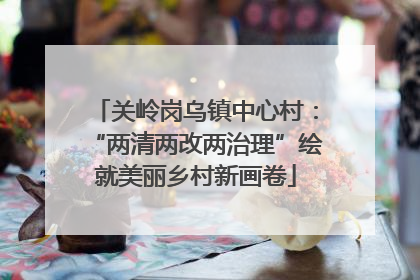 关岭岗乌镇中心村：“两清两改两治理”绘就美丽乡村新画卷