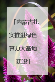 内蒙古扎实推进绿色算力大基地建设