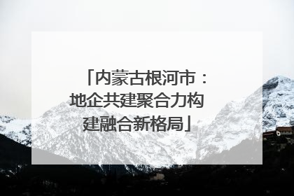 内蒙古根河市：地企共建聚合力构建融合新格局