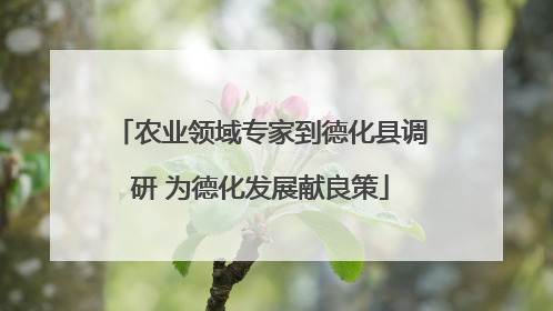 农业领域专家到德化县调研 为德化发展献良策
