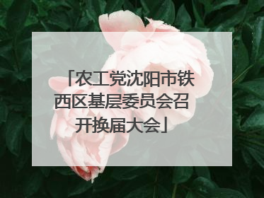 农工党沈阳市铁西区基层委员会召开换届大会