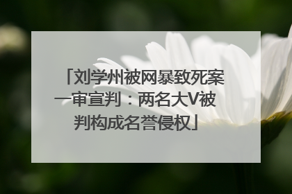 刘学州被网暴致死案一审宣判：两名大V被判构成名誉侵权