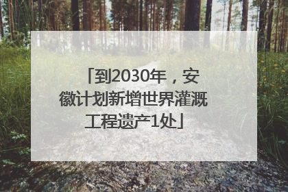 到2030年，安徽计划新增世界灌溉工程遗产1处