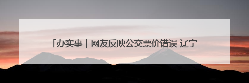 办实事｜网友反映公交票价错误 辽宁阜新：及时核查更正 加强实时巡检