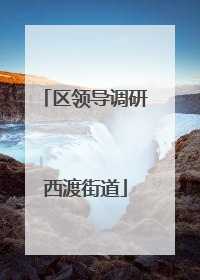 区领导调研西渡街道