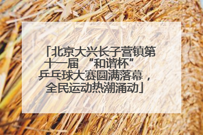 北京大兴长子营镇第十一届 “和谐杯” 乒乓球大赛圆满落幕，全民运动热潮涌动