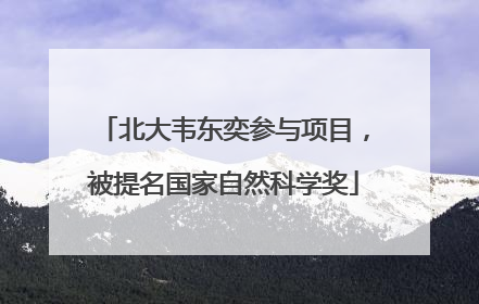 北大韦东奕参与项目，被提名国家自然科学奖