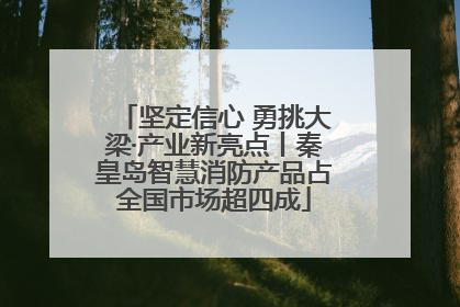 坚定信心 勇挑大梁·产业新亮点丨秦皇岛智慧消防产品占全国市场超四成