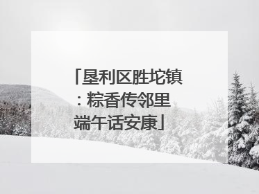 垦利区胜坨镇：粽香传邻里 端午话安康