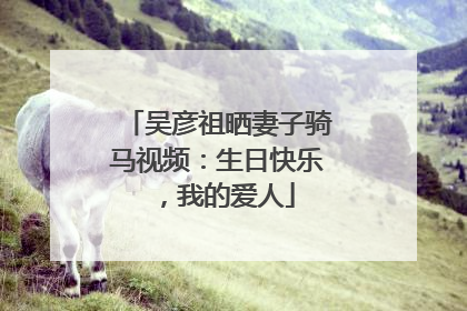 吴彦祖晒妻子骑马视频：生日快乐，我的爱人