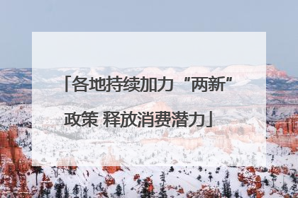 各地持续加力“两新”政策 释放消费潜力