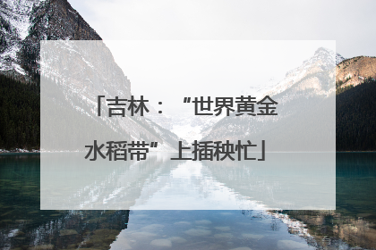 吉林：“世界黄金水稻带”上插秧忙
