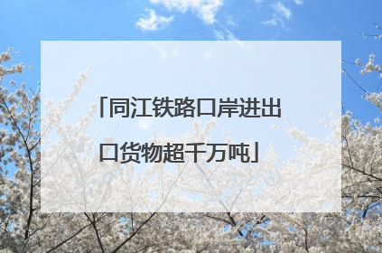同江铁路口岸进出口货物超千万吨