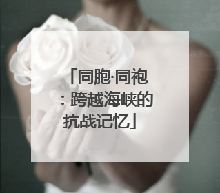 同胞·同袍：跨越海峡的抗战记忆