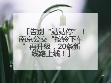 告别“站站停”！南京公交“按铃下车”再升级，20条新线路上线！