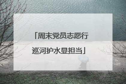 周末党员志愿行 巡河护水显担当