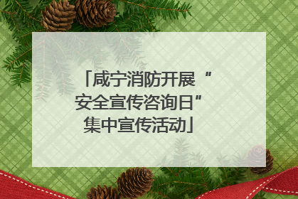 咸宁消防开展“安全宣传咨询日”集中宣传活动