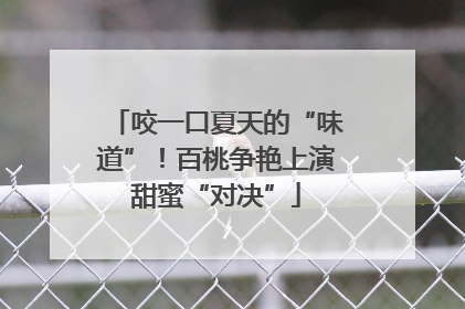 咬一口夏天的“味道”！百桃争艳上演甜蜜“对决”