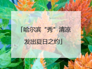 哈尔滨“秀”清凉 发出夏日之约