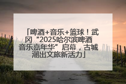 啤酒+音乐+篮球！武冈“2025哈尔滨啤酒音乐嘉年华”启幕，古城潮出文旅新活力