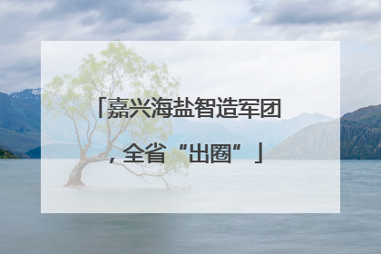 嘉兴海盐智造军团，全省“出圈”
