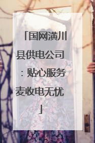 国网潢川县供电公司：贴心服务麦收电无忧