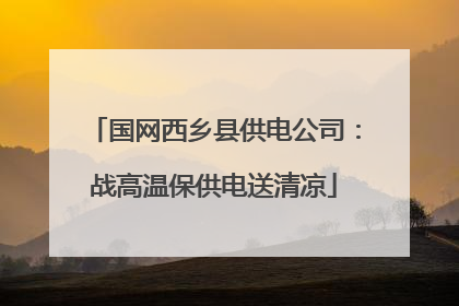 国网西乡县供电公司：战高温保供电送清凉