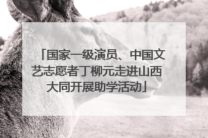 国家一级演员、中国文艺志愿者丁柳元走进山西大同开展助学活动