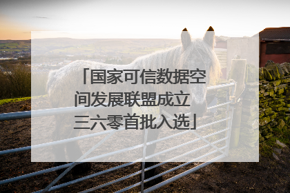 国家可信数据空间发展联盟成立 三六零首批入选