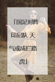国足对阵印尼队 天气或成拦路虎