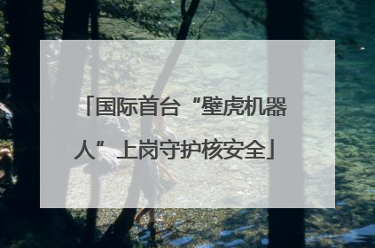 国际首台“壁虎机器人”上岗守护核安全