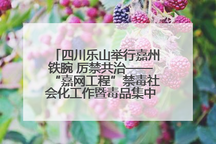 四川乐山举行嘉州铁腕 厉禁共治——“嘉网工程”禁毒社会化工作暨毒品集中销毁启动仪式