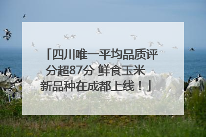 四川唯一平均品质评分超87分 鲜食玉米新品种在成都上线！