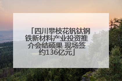 四川攀枝花钒钛钢铁新材料产业投资推介会结硕果 现场签约136亿元