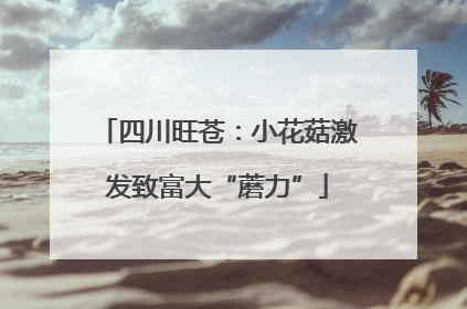 四川旺苍：小花菇激发致富大“蘑力”