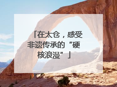 在太仓，感受非遗传承的“硬核浪漫”
