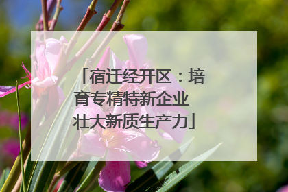 宿迁经开区：培育专精特新企业 壮大新质生产力